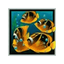4 Fish