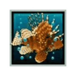 Flying Fish