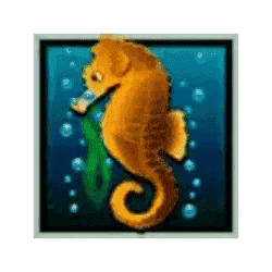 Seahorse